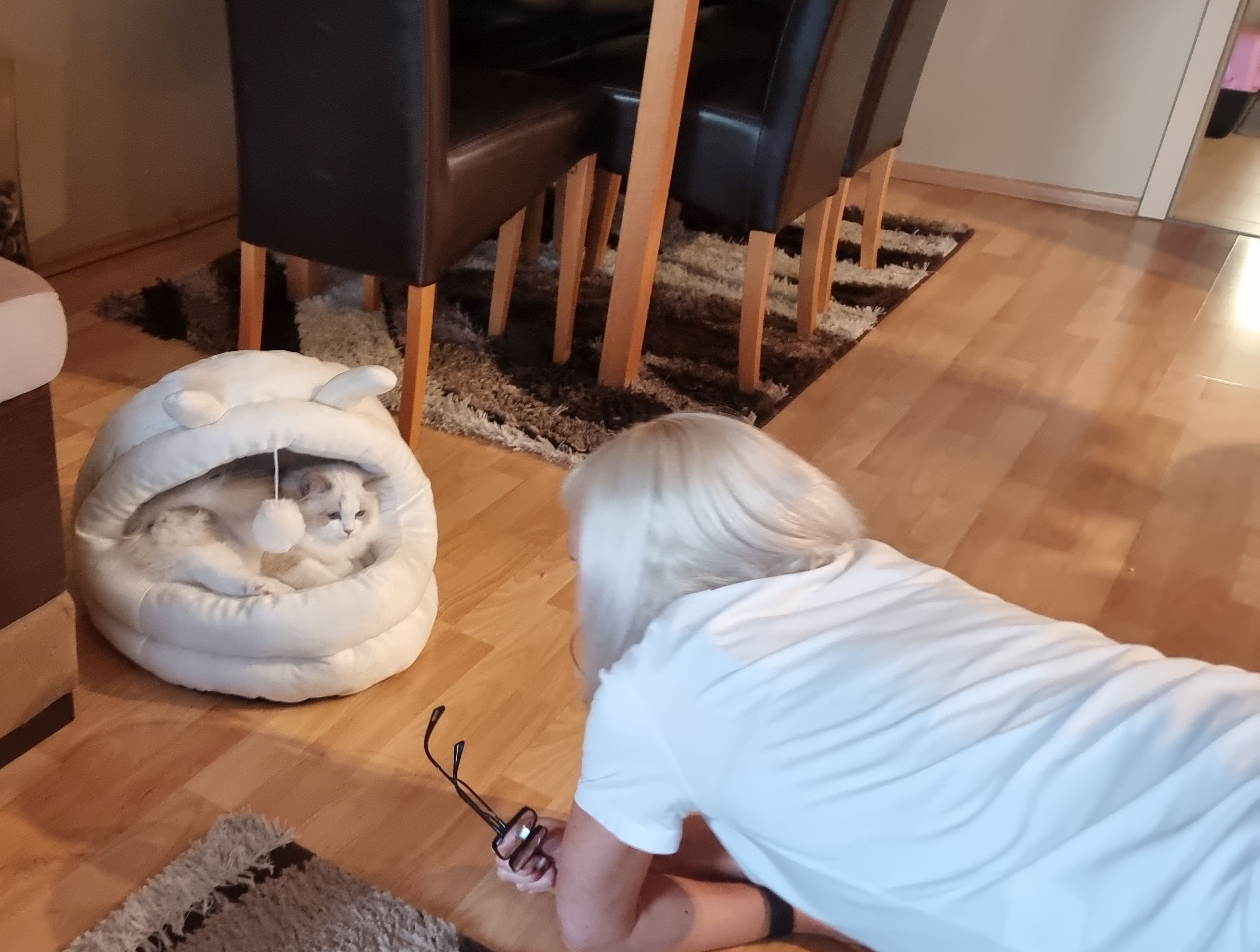 /images/Galeria/Képek gazdiktól (Pictures from owners)/Szilvi&Breeze.jpg